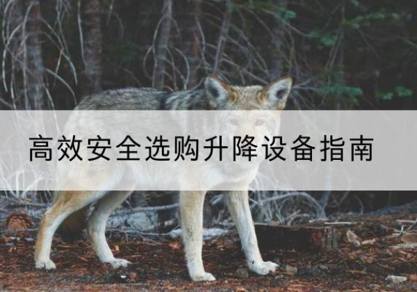 天全升降货梯厂家推荐-*安全选购升降设备指南