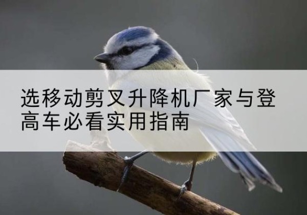 天全电动升降机厂家-选移动剪叉升降机厂家与登高车必看实用指南