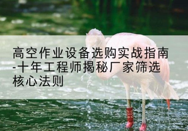 天全剪叉式升降机厂家-高空作业设备选购实战指南-十年工程师揭秘厂家筛选核心法则