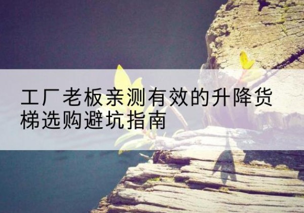 天全升降货梯怎么选-工厂老板亲测有效的升降货梯选购避坑指南